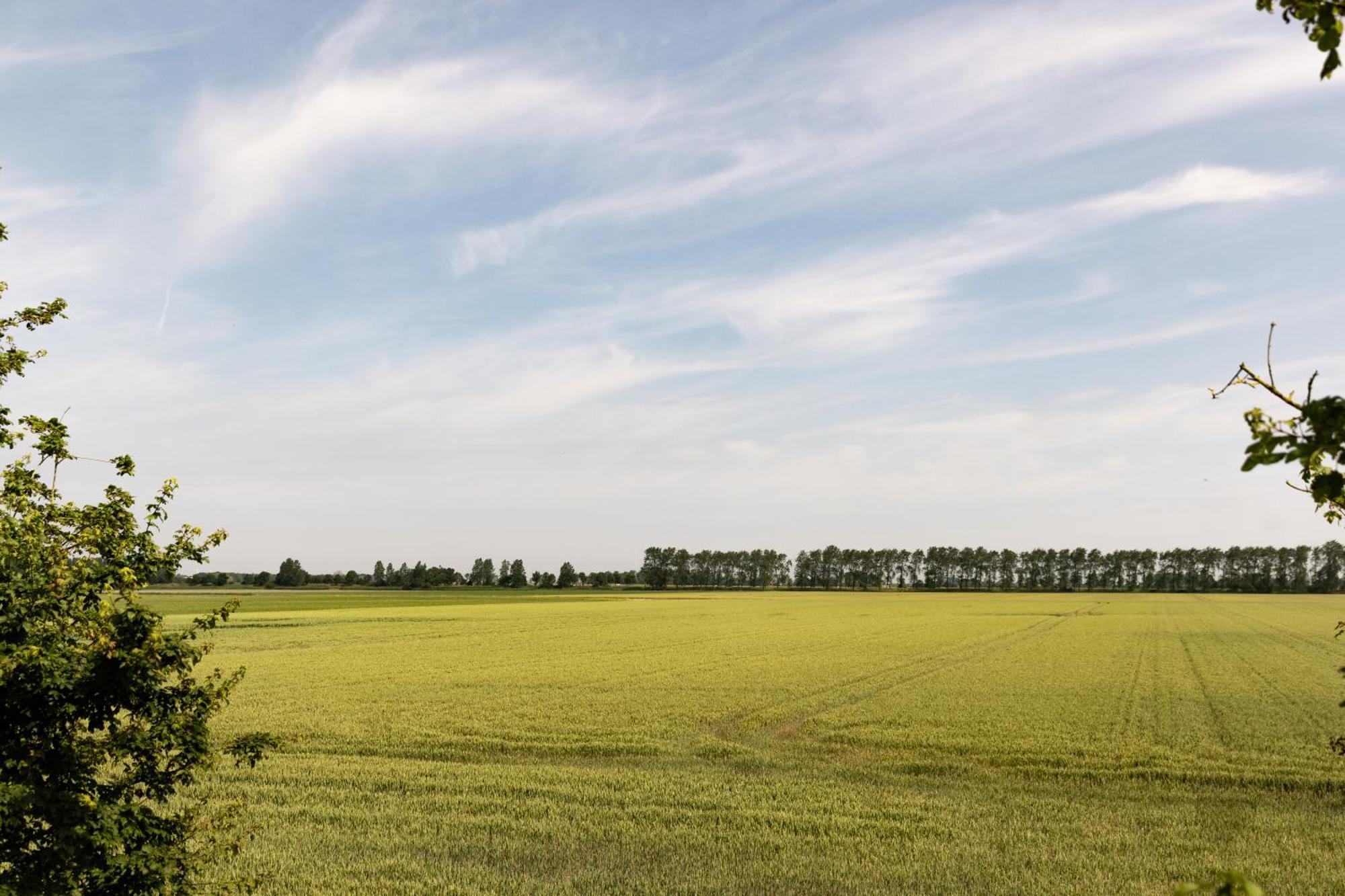 Hof Van Maldegem Кортгене Экстерьер фото