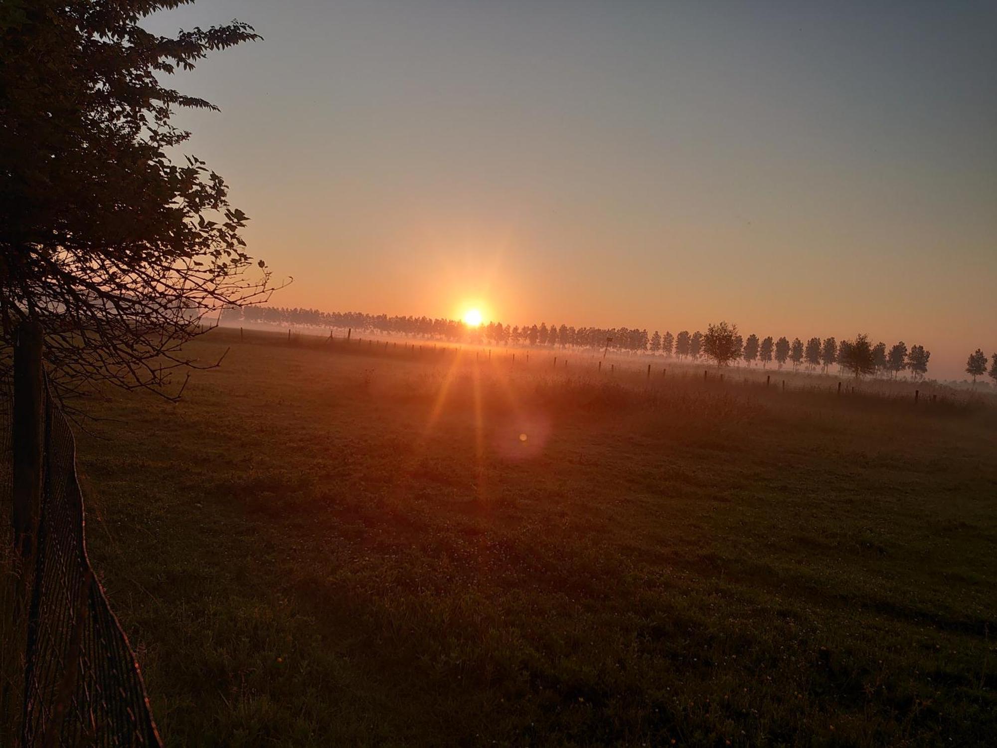Hof Van Maldegem Кортгене Экстерьер фото